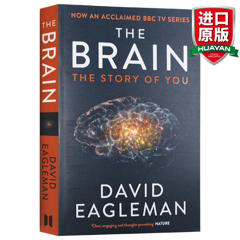 英文原版 大脑的故事 The Brain The Story of You 深入大脑 大卫伊格曼