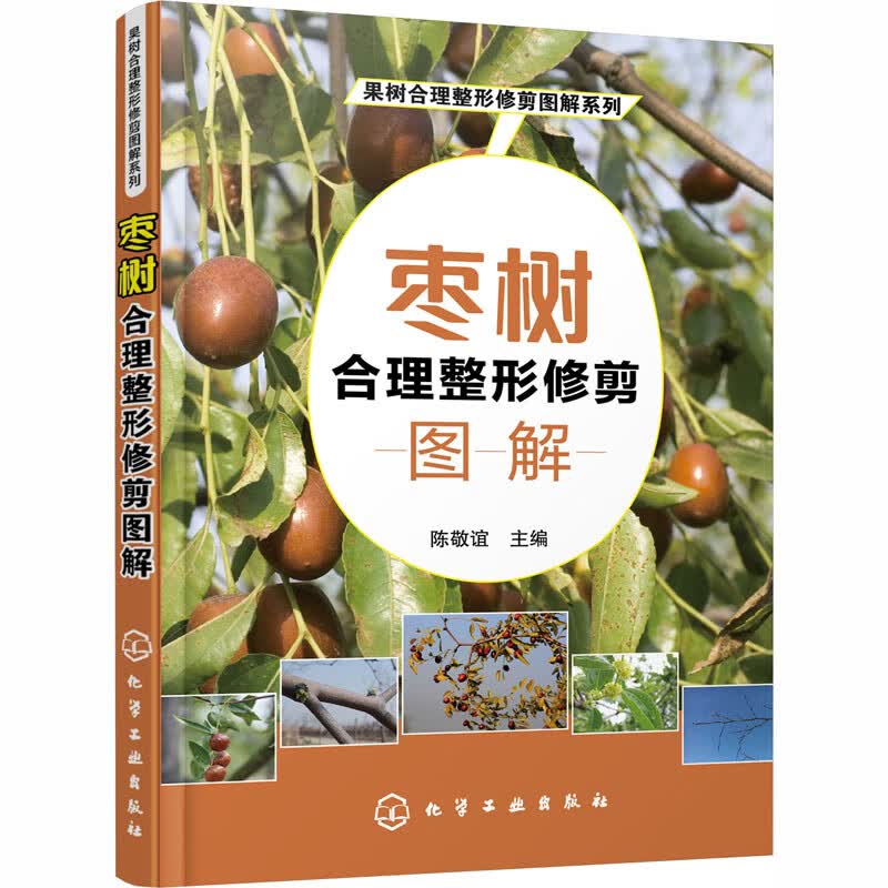 枣树合理整形修剪图解 陈敬谊 编 书籍