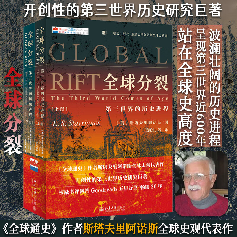 全球分裂:第三世界的历史进程(上下册)