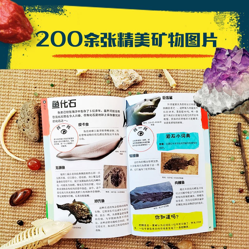 岩石小侦探（让孩子爱上户外探索的地质小百科） 【7-14岁】丹格林著 儿童科普详情图