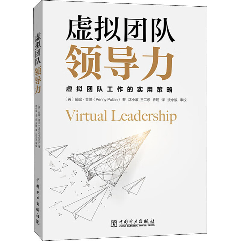 虚拟团队领导力 (英)彭妮·普兰 书籍