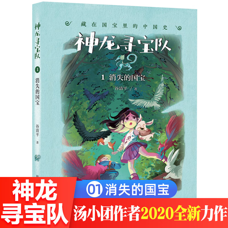 神龙寻宝队1消失的国宝漫游中国历史谷清平汤小团藏在国宝里的故事书