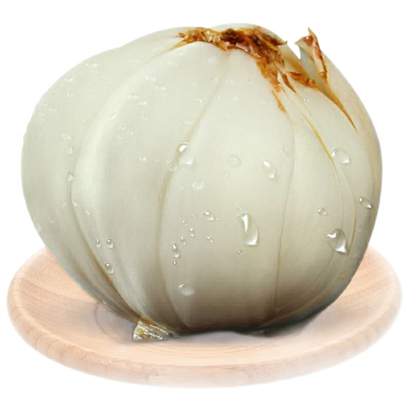 信好豫见兰州新鲜百合价格趋势和销量分析