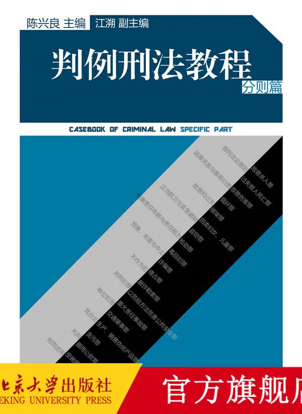判例刑法教程