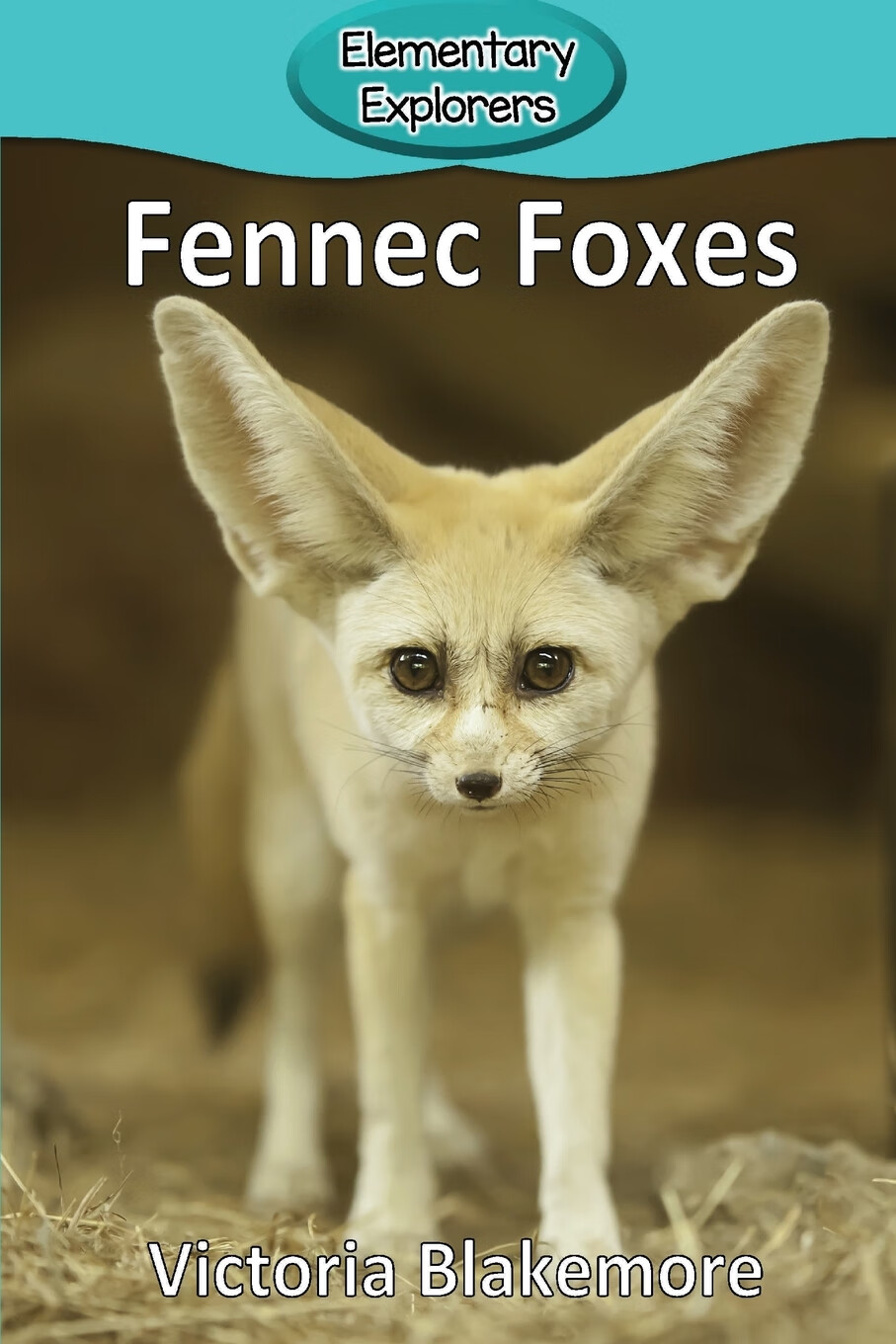 【预售 按需印刷】fennec foxes