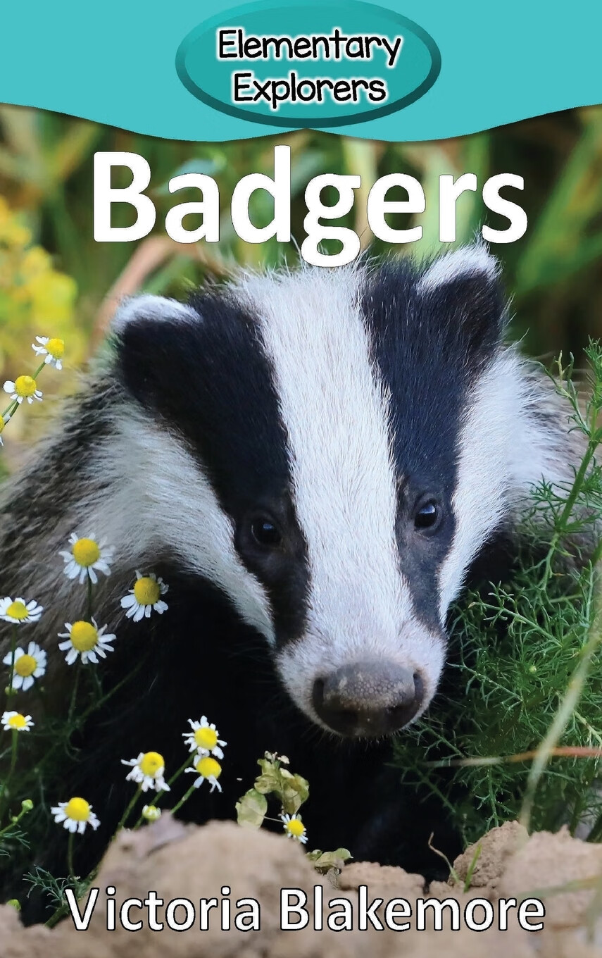 【预售 按需印刷】badgers