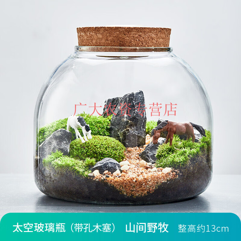 苔藓植物微景观生态瓶盆景办公桌面创意绿植摆件趣味diy微型景观 山间
