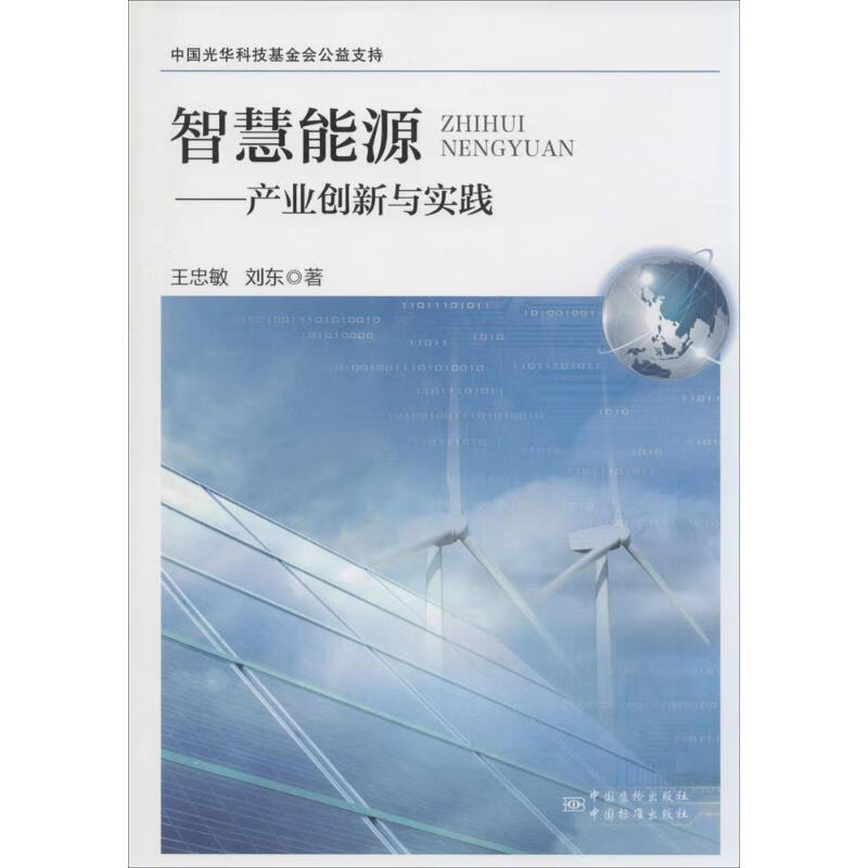 智慧能源 王忠敏 作 书籍