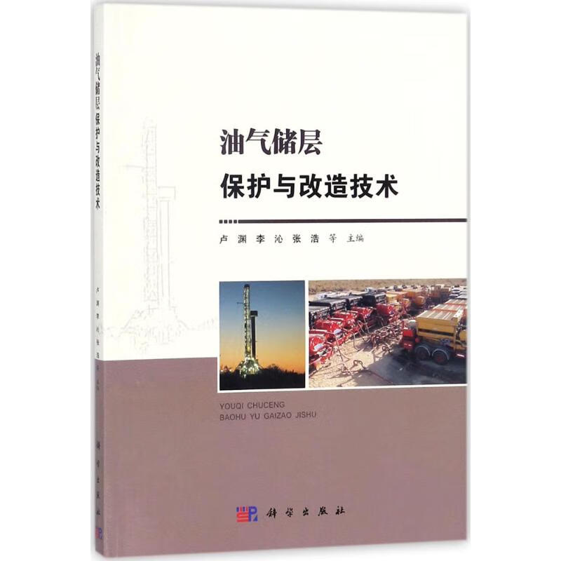 油气储层保护与改造技术 卢渊 等 主编 书籍