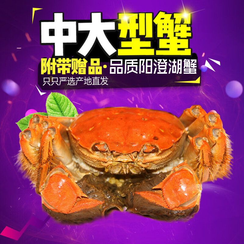 0[活蟹]仲秋大闸蟹鲜活螃蟹特大全母2.