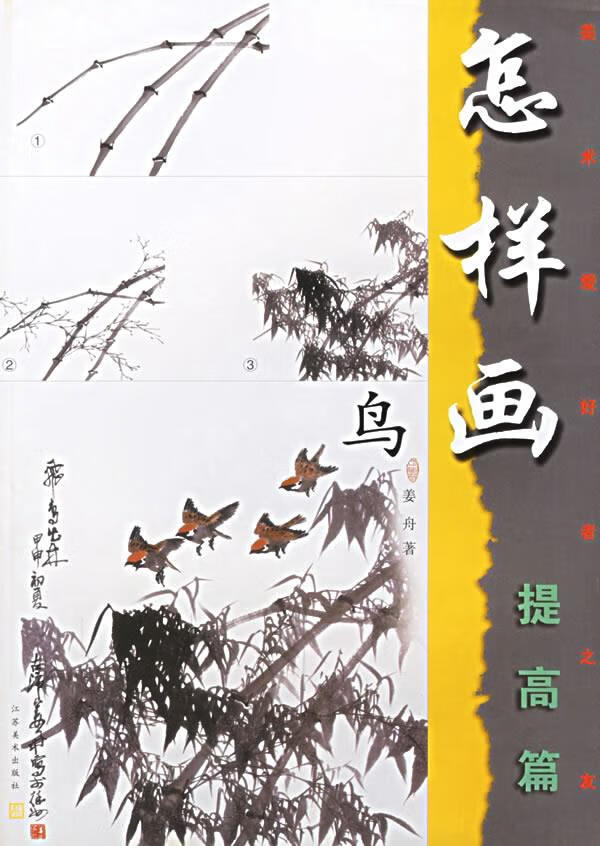 美术爱好者之友:怎样画鸟 姜舟【上新】
