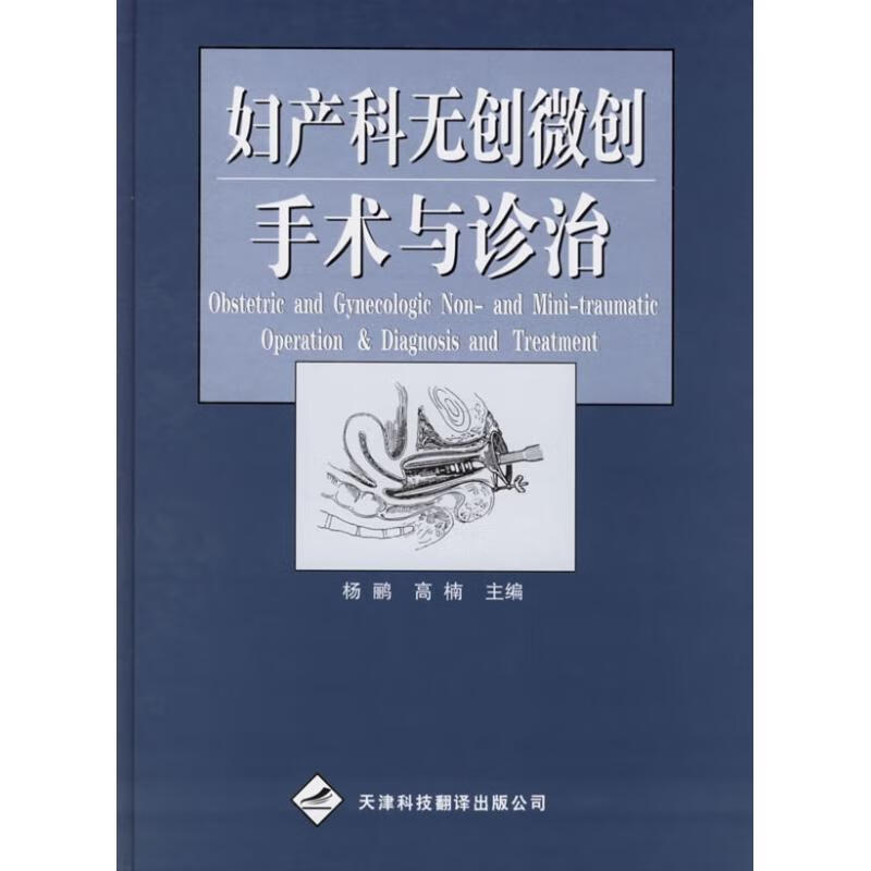 妇产科无创微创手术与诊治 杨鹂 作 书籍