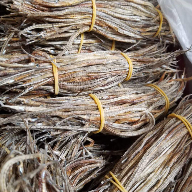 小海龙干货材500克养殖海龙泡酒刁海龙六角海龙 500克  500克