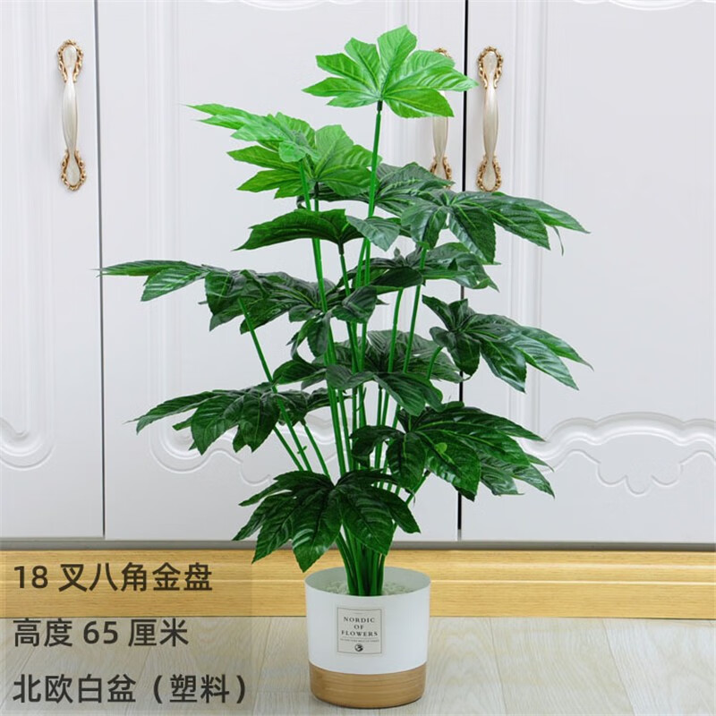盆栽绿植客厅室内装饰落地盆景花艺摆件 18叉八角金盘(白石 北欧白盆)