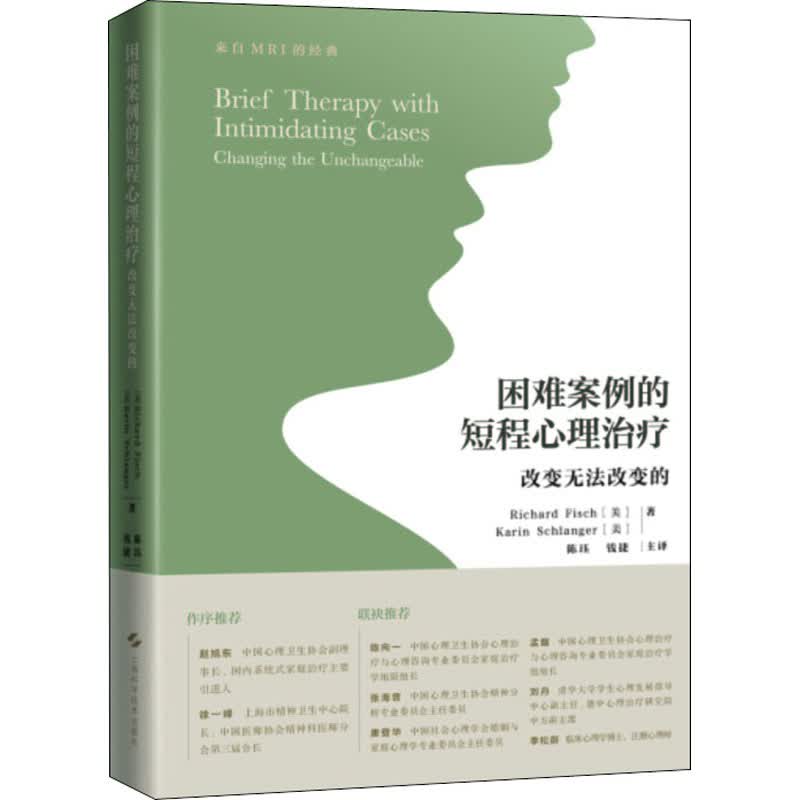 困难案例的短程心理治疗 改变无法改变的 (美)理查德·菲什,(美)卡琳·施兰格 陈珏,钱捷 译 书籍