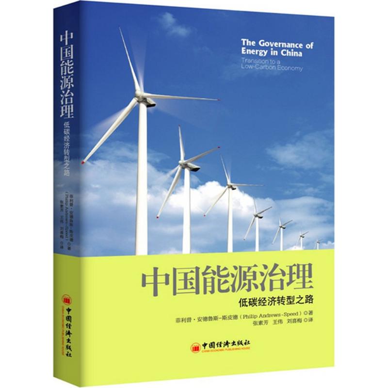 中国能源治理