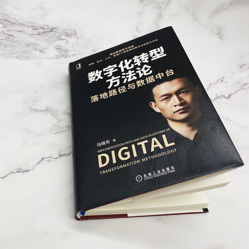 数字化转型方法论：落地路径与数据中台（国云数据官方出品）详情图