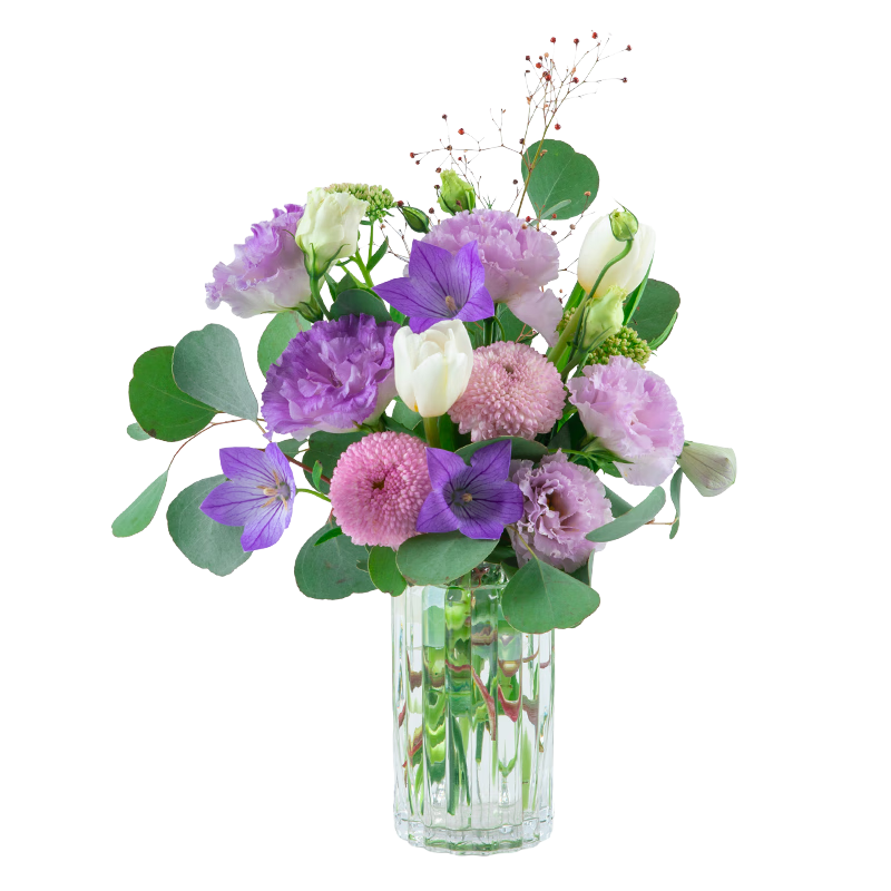 ����ʱ�䣨Reflower����Ȼϵ�г��ʰ浥�����л����ʻ���������������Ů��Դͷֱ�� 38Ԫ