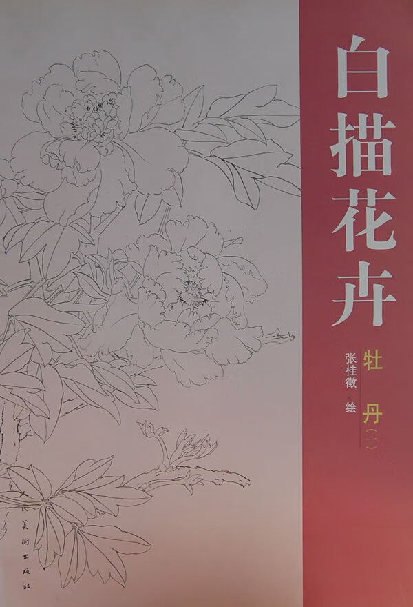 白描花卉:牡丹1 张桂徵【上新】