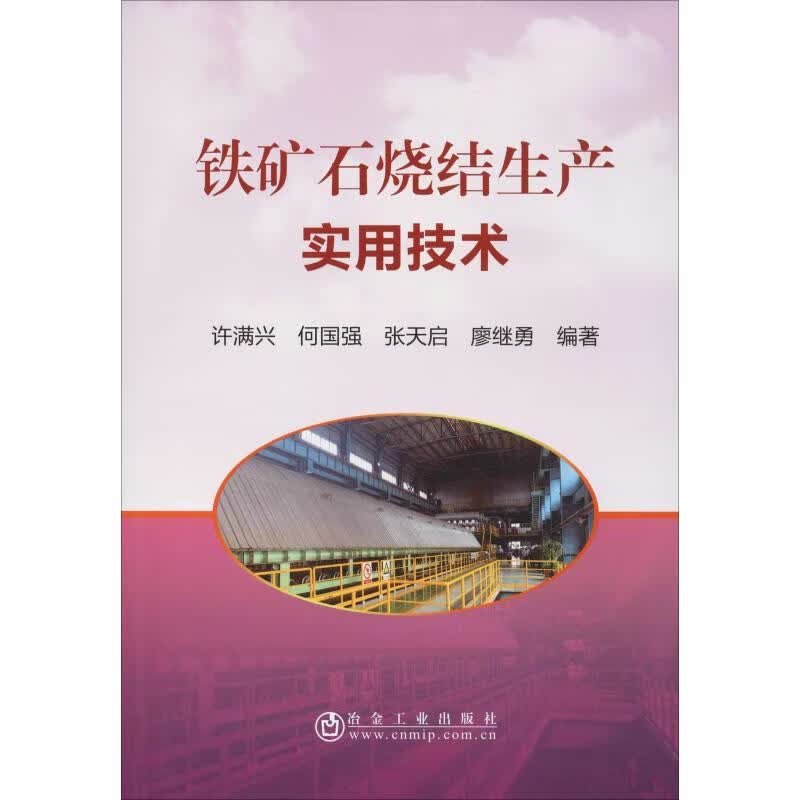 铁矿石烧结生产实用技术 许满兴 等 书籍