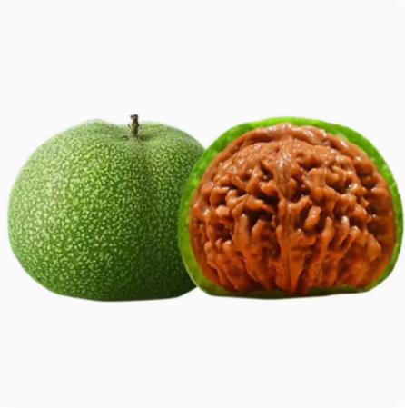 西柔慕 青皮核桃文玩赌青皮 特大收藏级四座楼白狮子头磨盘苹果园带