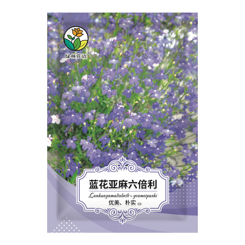 绿林花语蓝花亚麻种子六倍利耐寒耐旱易活多年生 花草种子庭院景观