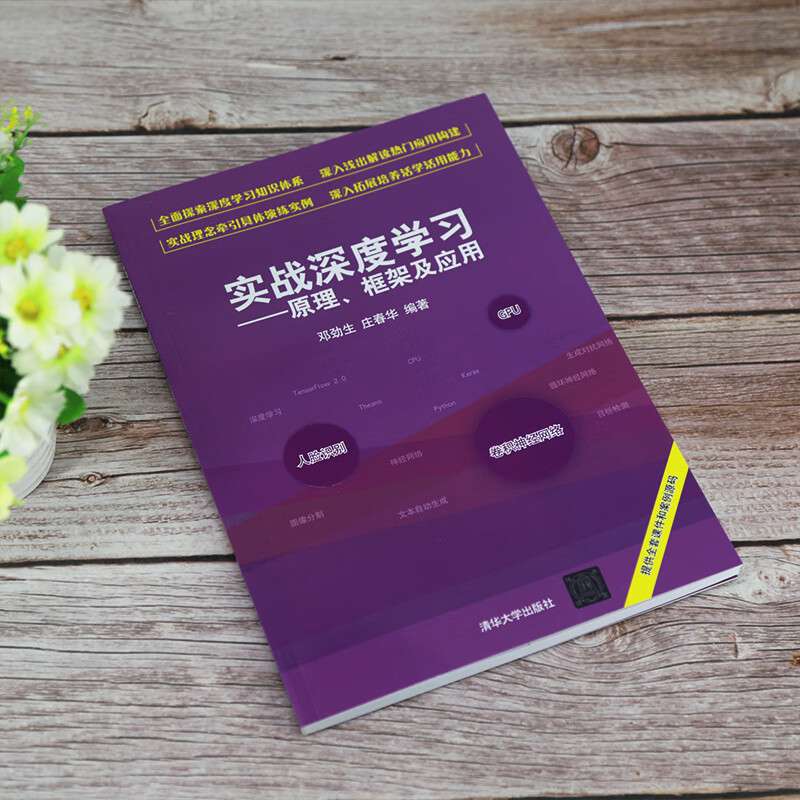 实战深度学习——原理、框架及应用详情图