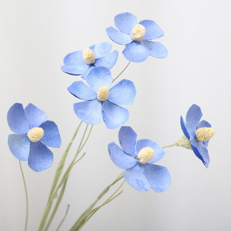 花风干ins网红花装饰摆件文艺插花摆设北欧装饰sn9189 紫罗兰蓝色10支