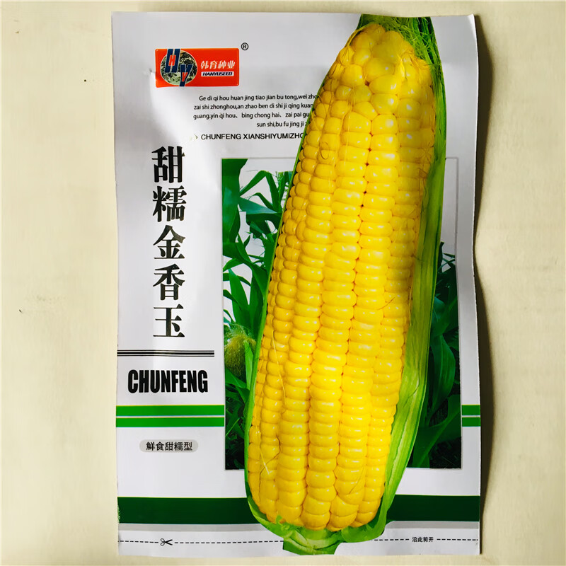 超甜水果玉米种籽大全甜玉米种子孑牛奶黑糯高产大田春秋 甜糯金香玉