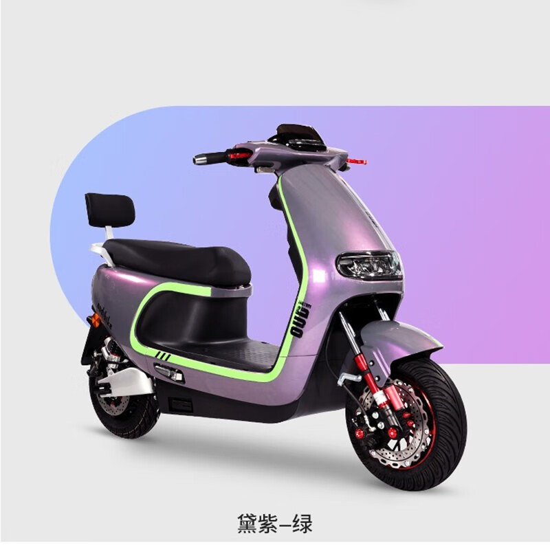 长跑王高速大型大功率电瓶车高颜值踏板n9电摩外卖送餐车成人电动车