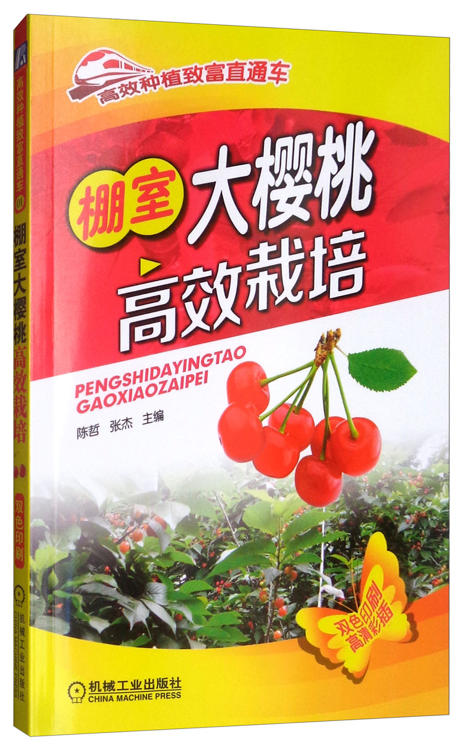 [正版图书]棚室大樱桃高效栽培