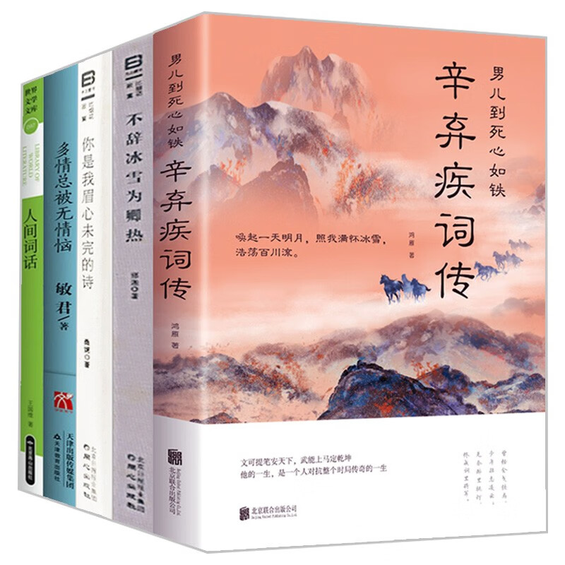 【5册包邮】辛弃疾词传+纳兰容若：不辞冰雪为卿热+李清照和她的情花词+晏殊晏几道的痴情醉梦+人间词话