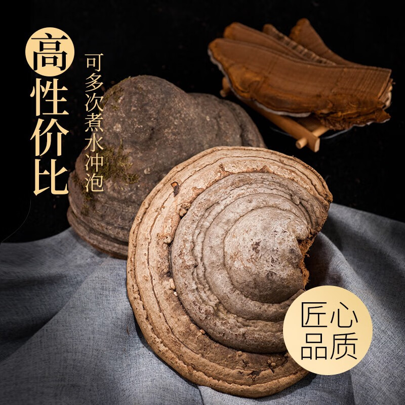 栢晟 木蹄灵芝 马蹄灵芝 长白山木蹄灵芝长白山木蹄灵芝可切片 木蹄