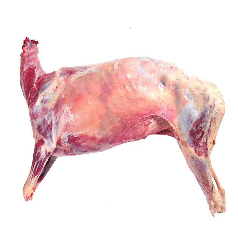 果亦橙内蒙小羔羊生鲜羊肉 烤全羊羊排羊腿 新鲜现