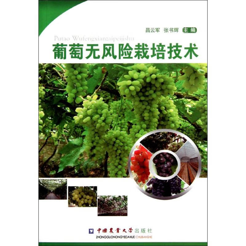 葡萄无风险栽培技术 昌云军//张书辉 作 书籍