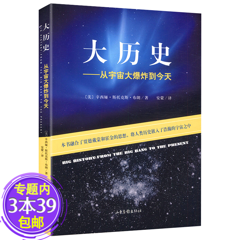 【包邮】大历史--从宇宙大爆炸到今天图书籍
