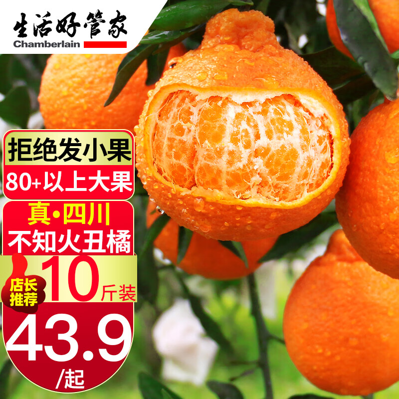 惊艳黄金珍品！桔/橘商品价格走势一直稳定|桔橘历史价格查询方法