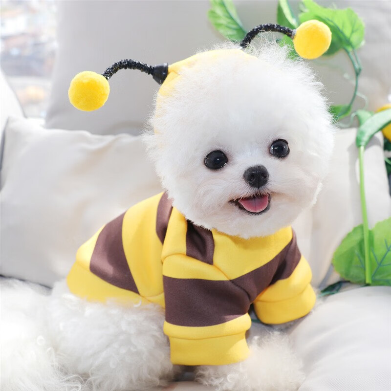 山头林村小狗狗秋冬衣服泰迪雪纳瑞比熊博美小型幼犬冬