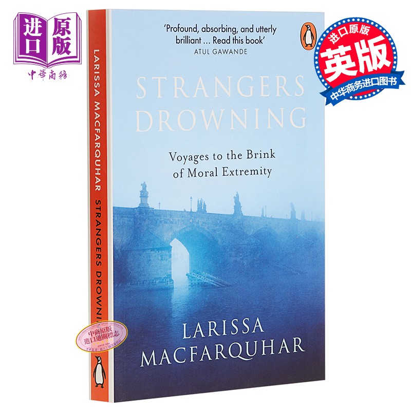strangers drowning 英文原版 豆瓣阅读 陌生人溺水 larissa