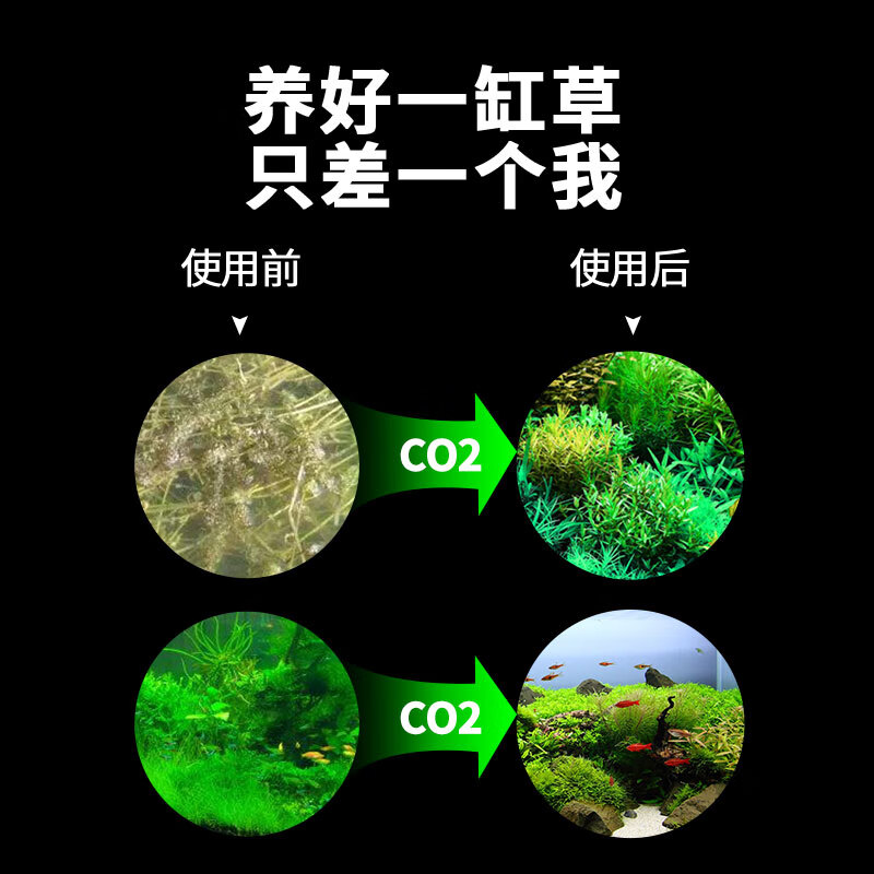 疯狂水草二氧化碳小钢瓶发生器水草缸套装鱼缸专用自制高压气瓶co2 进阶款 铝合金新手钢瓶2l 虎窝购 疯狂水草二氧化碳小钢瓶发生器水草缸套装鱼缸专用自制高压气瓶co2 进阶款 铝合金新手钢瓶2l 虎窝购