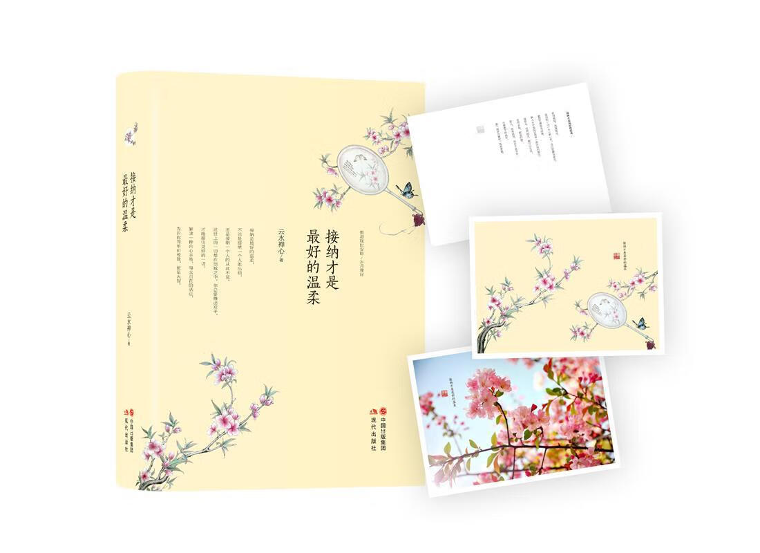 接纳才是的温柔 云水禅心 著【正版书】