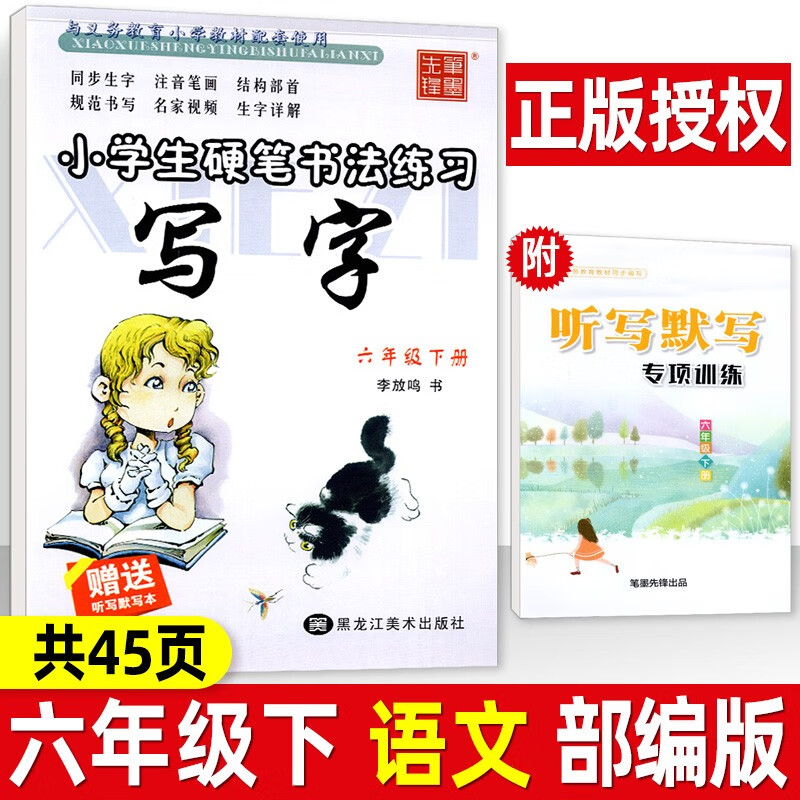 写字课课练一二三四五六年级上册下册 部编人教版 李放鸣小学生字帖铅笔钢笔楷书正楷硬笔书法临摹练字帖 六年级下册 语文 部编版字帖