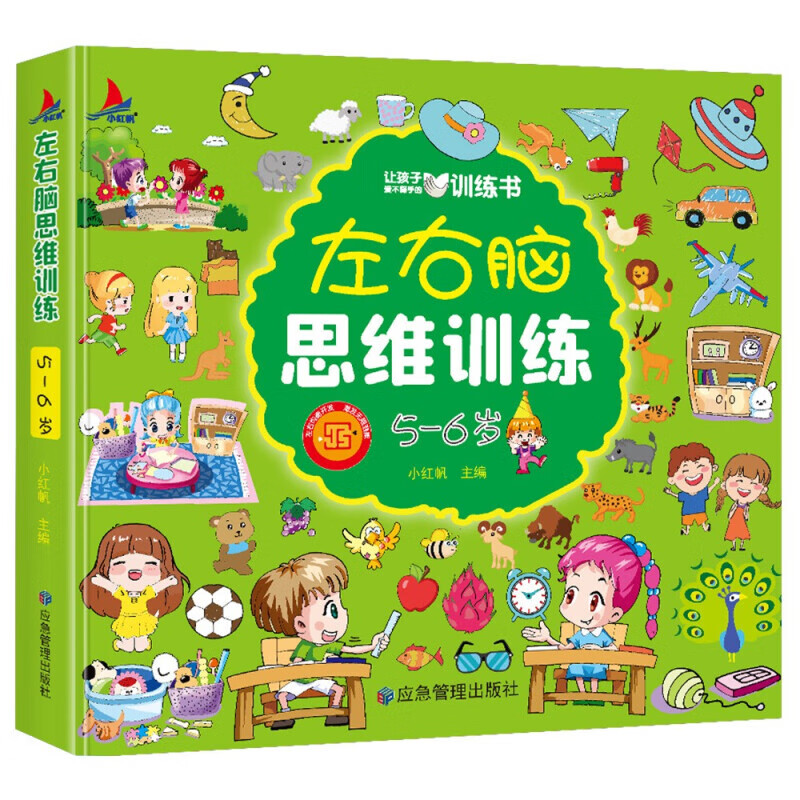 正版左右脑思维训练2-6岁儿童全脑开发专注逻辑力想象力游戏左右