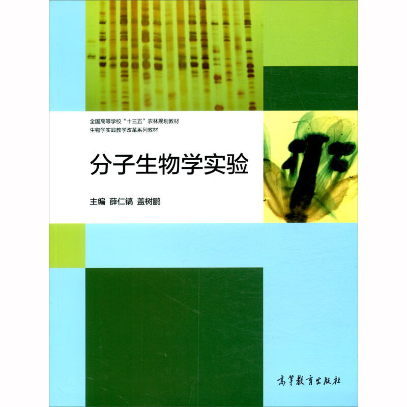 分子生物学实验