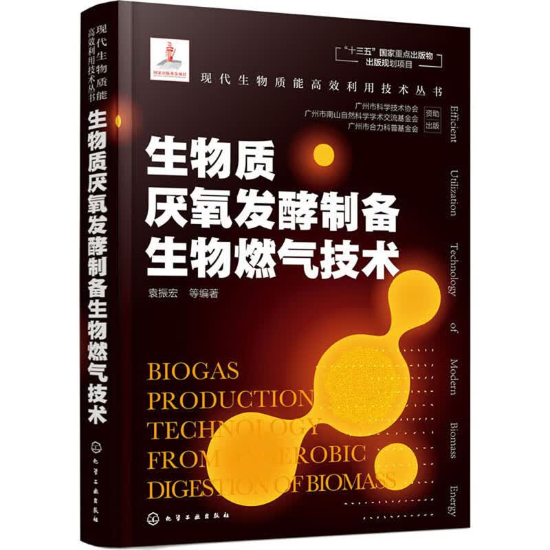 现代生物质能高效利用技术丛书：生物质厌氧发酵制备生物燃气技术（精装）