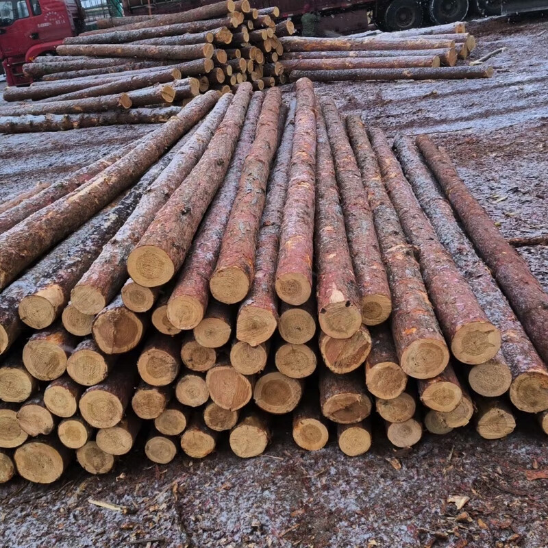河道打桩松木 河道打桩杉木 支撑杆绿化杆 檩条 装饰木
