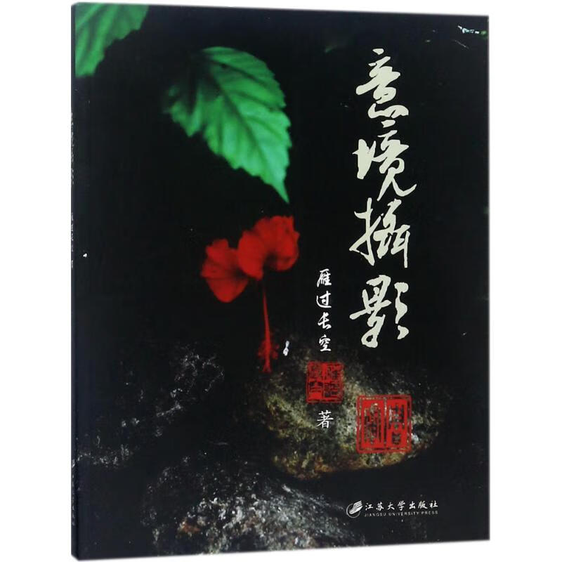 意境摄影 雁过长空  书籍