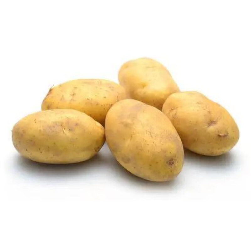 【精选果蔬】新鲜土豆东北土豆黄皮黄心现挖现卖应季蔬菜批发5斤装10