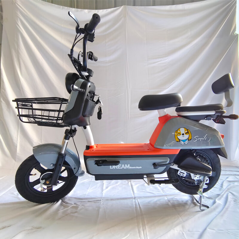 runtema新国标电动车女士可爱小型电瓶车新款电动自行车成人 灰色-配