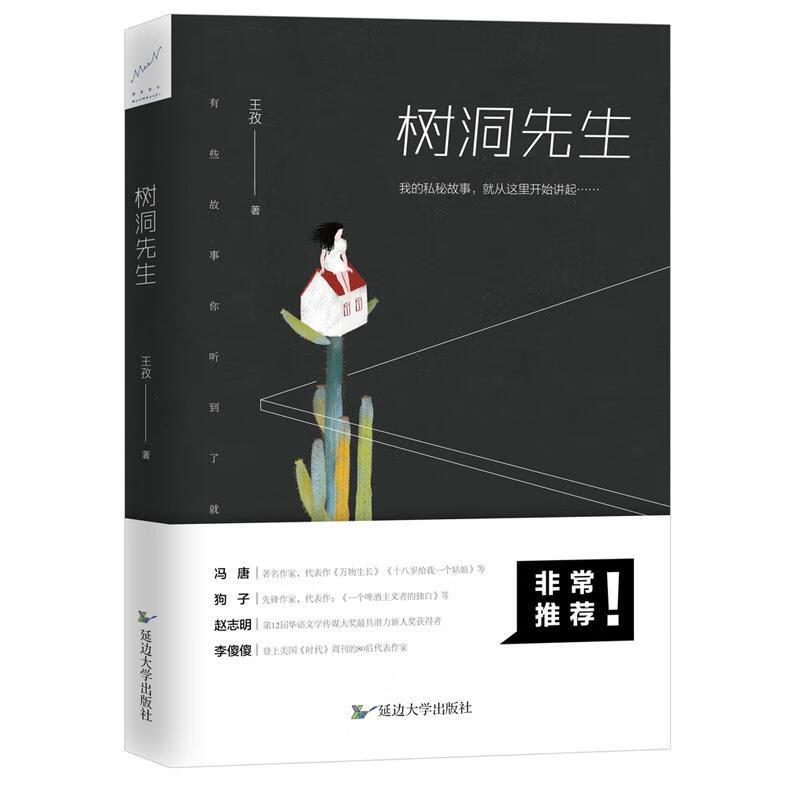 树洞先生 王孜【正版书】